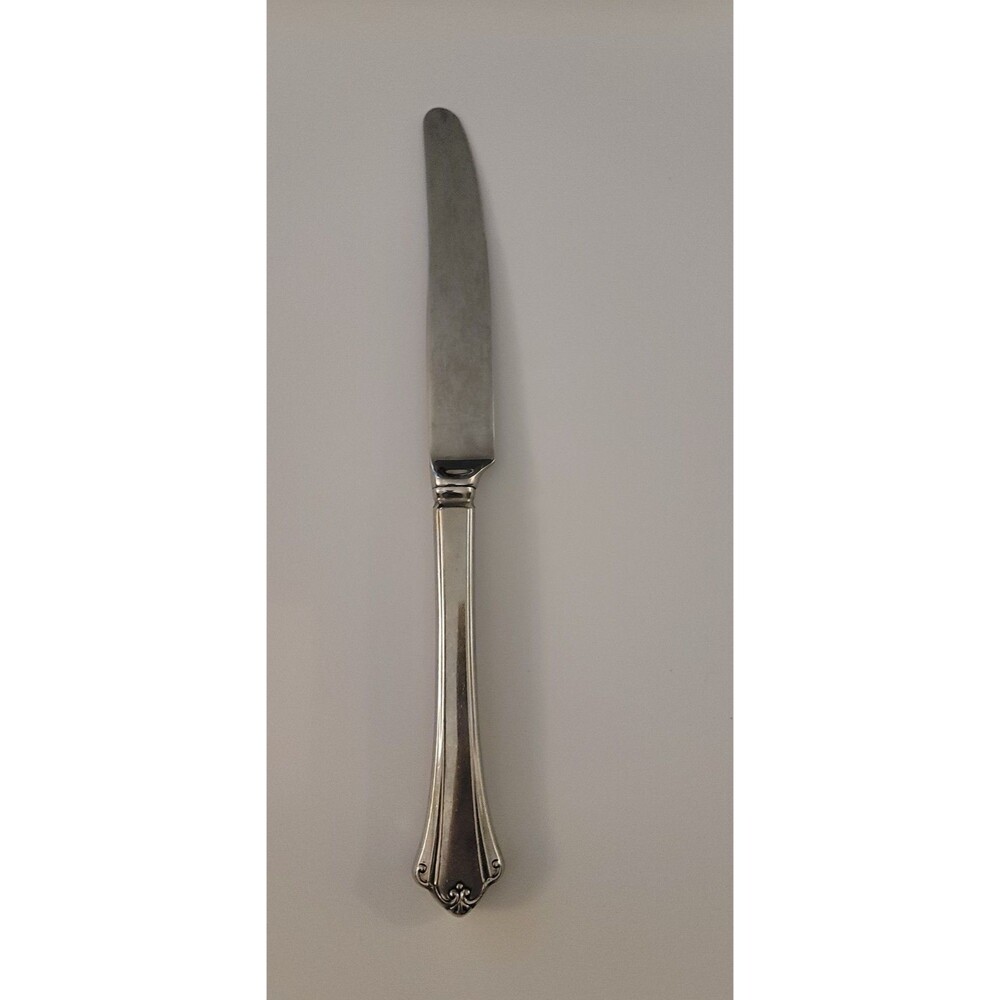 Oneida Anticipation Deluxe Stainless Glossy French Hollow Dinner Knife